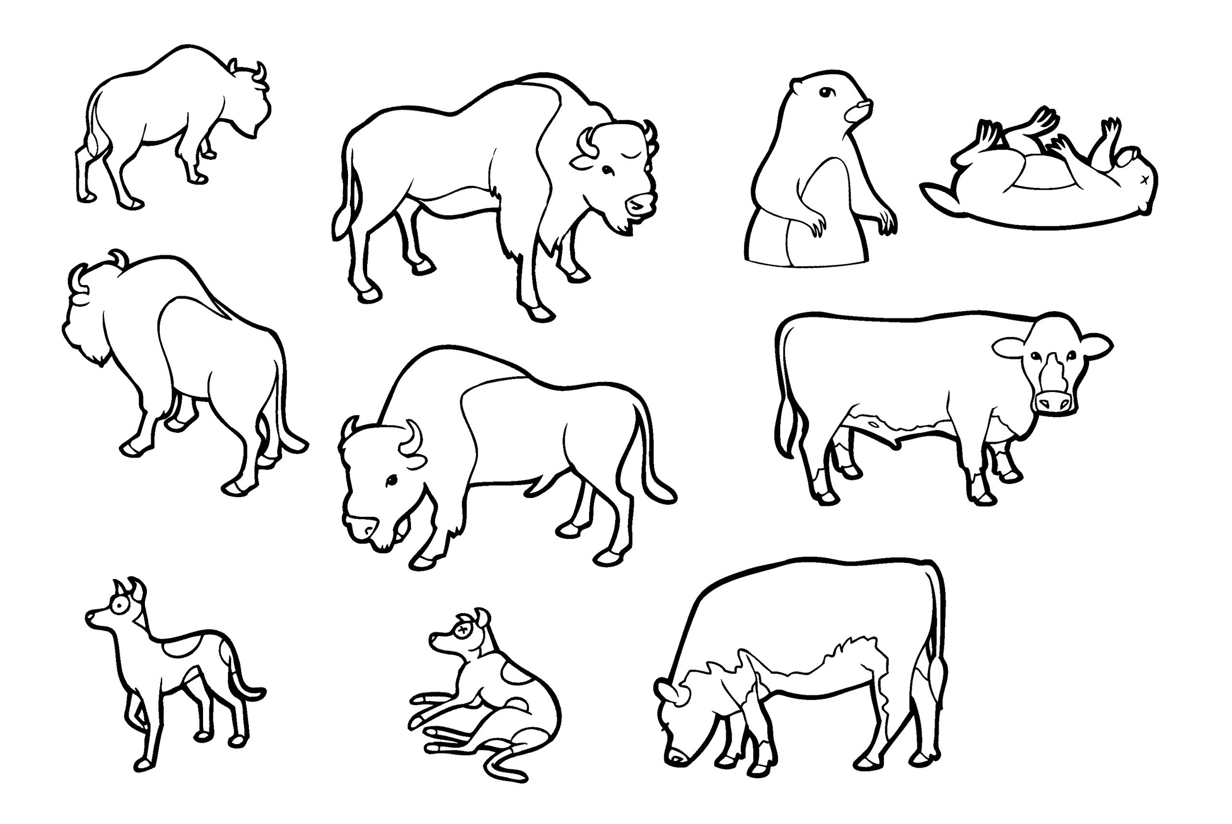 Portfolio Thumbnail