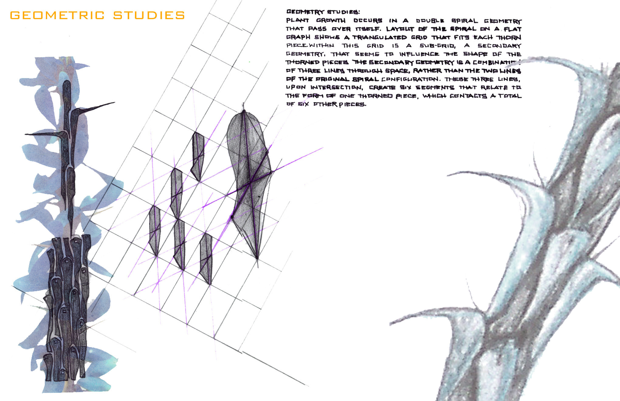 Portfolio Thumbnail