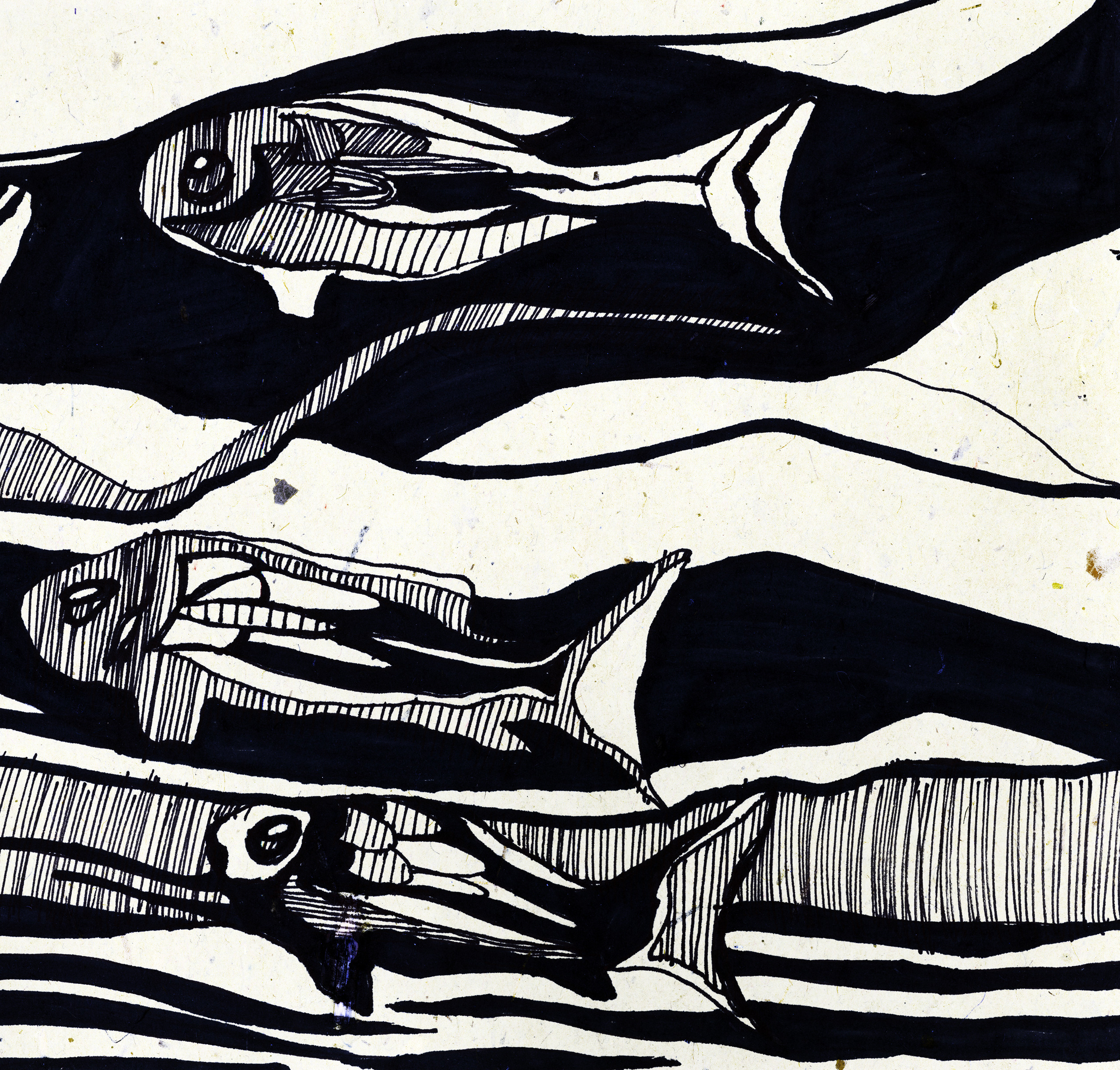 Portfolio Thumbnail