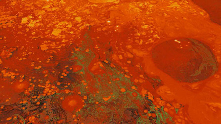 Portfolio Thumbnail