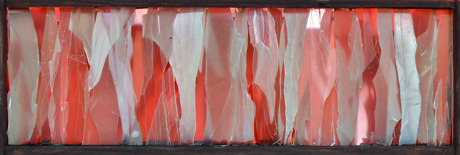 Portfolio Thumbnail
