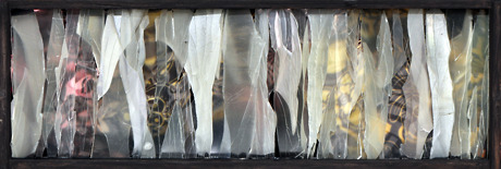Portfolio Thumbnail