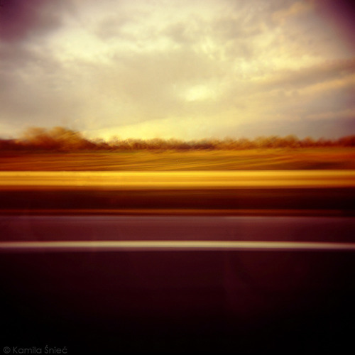 Portfolio Thumbnail