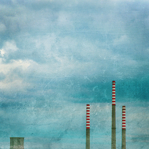 Portfolio Thumbnail