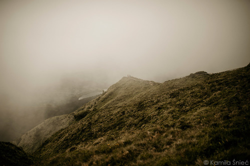 Portfolio Thumbnail