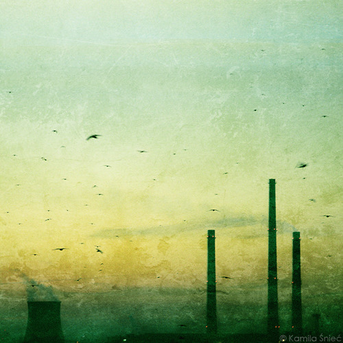 Portfolio Thumbnail
