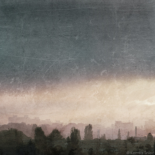 Portfolio Thumbnail
