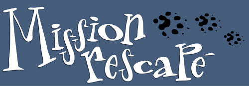 Portfolio Thumbnail