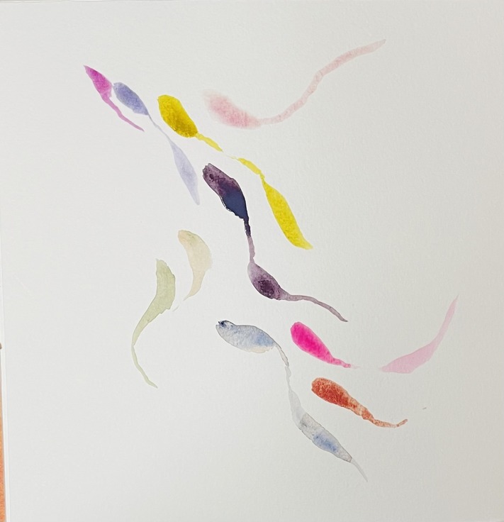 Portfolio Thumbnail