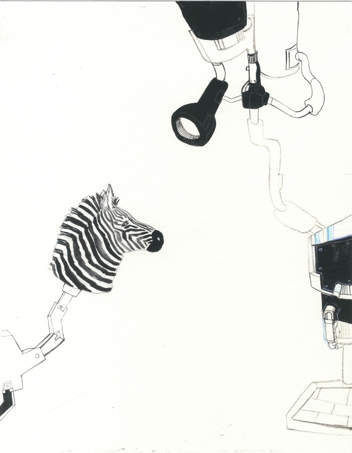 Portfolio Thumbnail