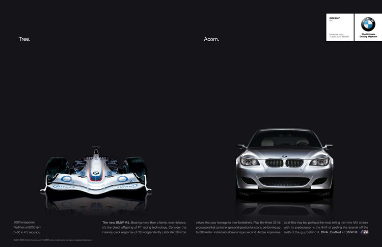 Portfolio Thumbnail