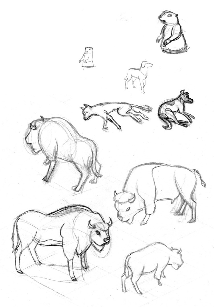 Portfolio Thumbnail