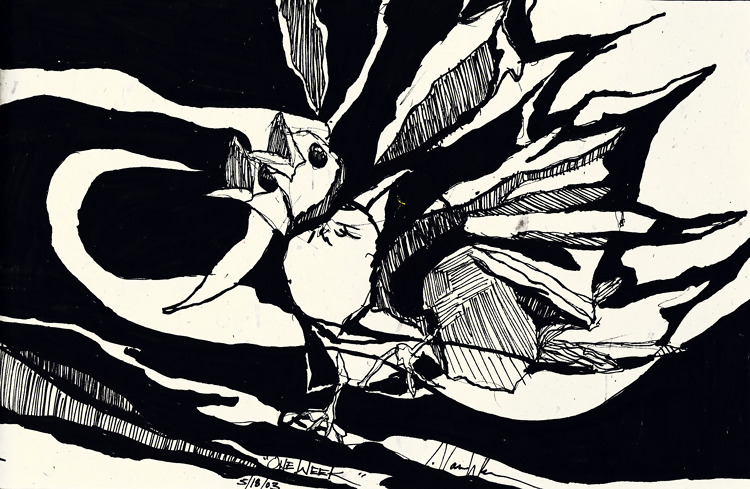 Portfolio Thumbnail