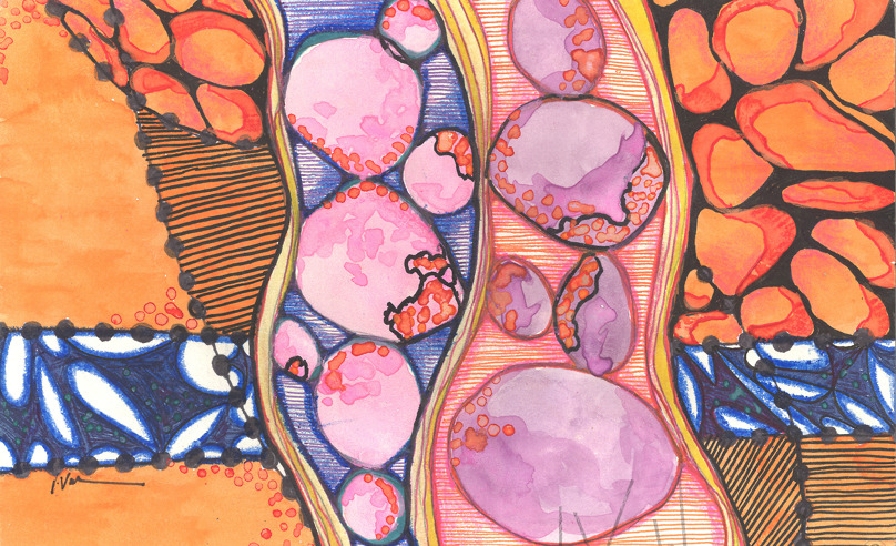 Portfolio Thumbnail