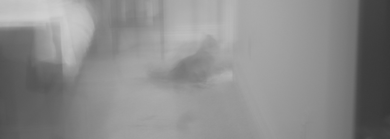 Portfolio Thumbnail