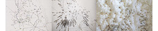 Portfolio Thumbnail