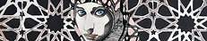 Portfolio Thumbnail