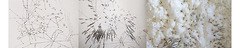 Portfolio Thumbnail