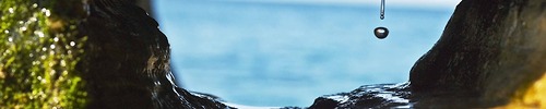 Portfolio Thumbnail