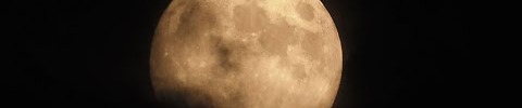 Portfolio Thumbnail