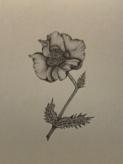 uploaded image